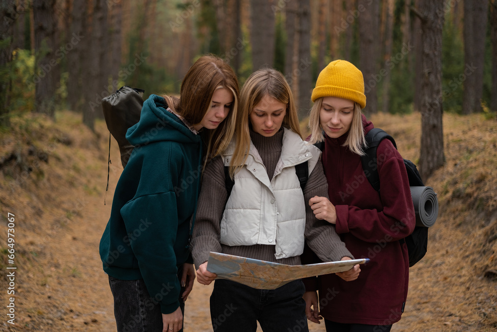 Three young women reading a map in the fall woods. The friends travel on foot through the forest, navigating the map Three young women reading a map in the fall woods. The friends travel on foot through the forest, navigating the map