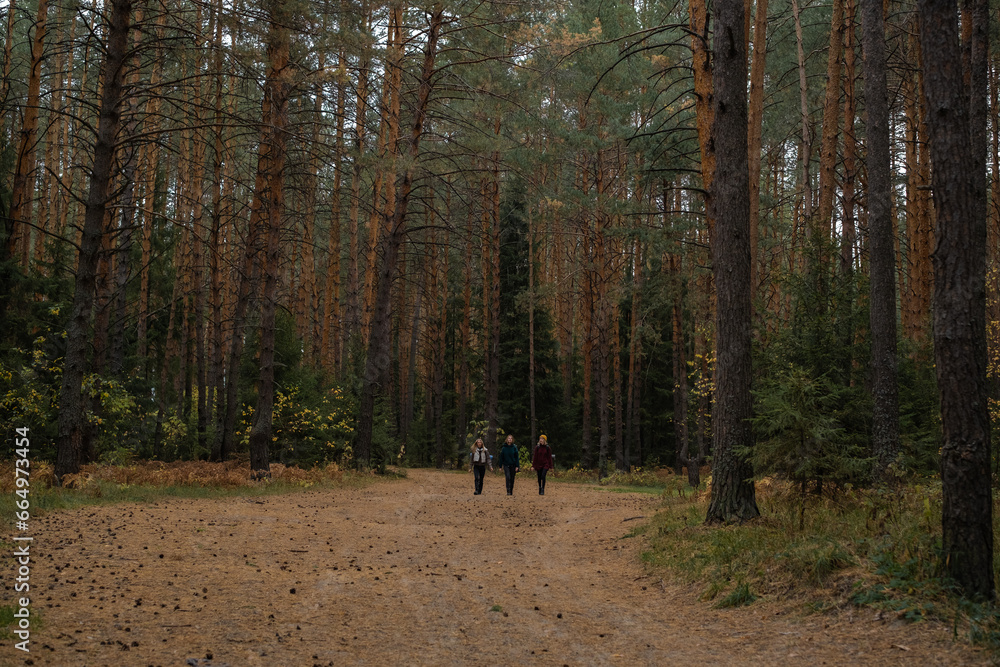 The girls travel on foot through an autumn forest. Happy camper friends walking along the dirt road to the campsite