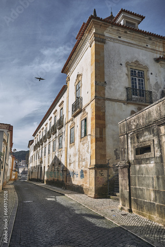 Bird over the old street