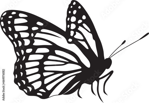 Vector monochrome butterfly Beautiful insect with big black wings. Drawing of a flying beetle.Suitable for sandblasting, laser and plotter cutting.. © Ana Lo