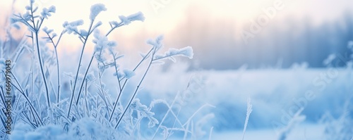 Frozen snowy grass  winter natural abstract background. beautiful winter landscape.