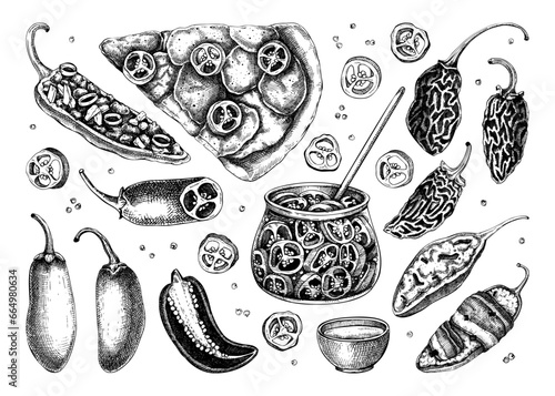Ripe jalapeno chili pepper sketches set. Hot spices, vegetarian, healthy food hand drawn vector illustration. Mexican cuisine menu design elements. Jalapeno with slices and seeds for packaging