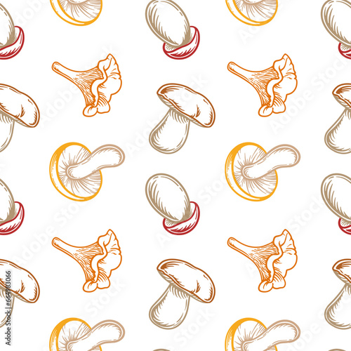 Seamless pattern with different mushrooms. Vector illustration of mushrooms.