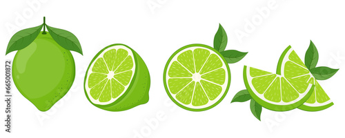 Fresh lime fruit. Collection of lime vector icons isolated on white background. Vector illustration