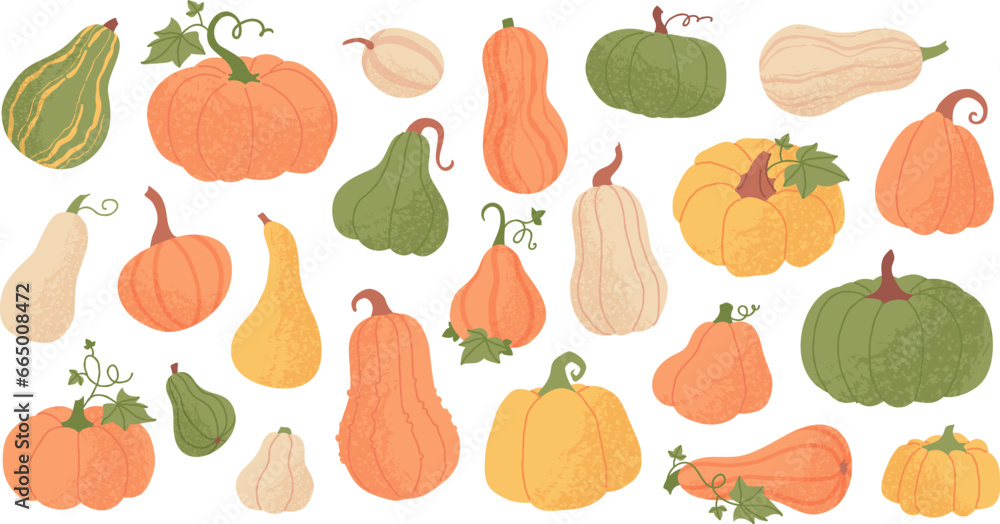Orange pumpkin with leaves, autumn harvest, different shapes squash and gourd. Halloween celebration symbol, fall season farm vegetable, thanksgiving holiday decor element, yellow pumpkins vector set Orange pumpkin with leaves, autumn harvest, different shapes squash and gourd. Halloween celebration symbol, fall season farm vegetable, thanksgiving holiday decor element, yellow pumpkins vector set