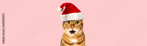 Bengal cat wearing Santa hat, Christmas concept © Svetlana Rey