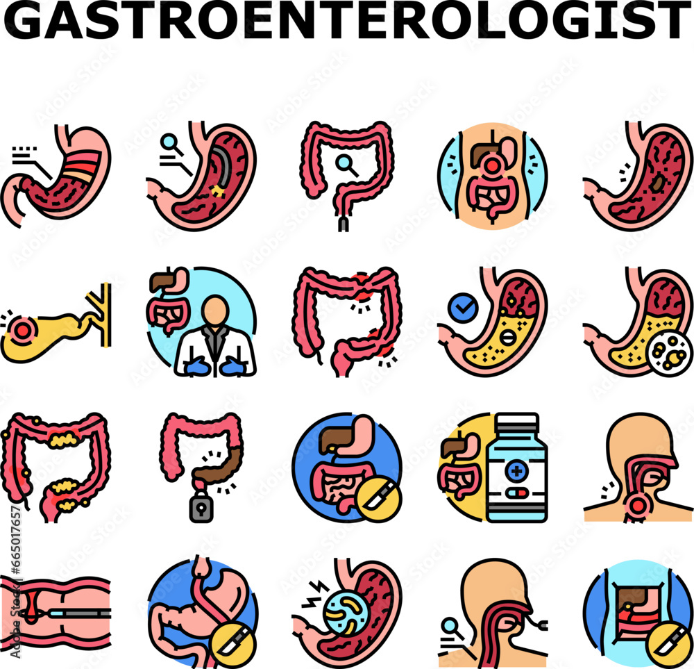 gastroenterologist doctor stomach icons set vector. health gastroenterology, intestine research, medical bowel, disease microbiota gastroenterologist doctor stomach color line illustrations