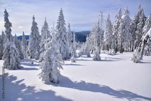 Krkonošská zima, sníh, mráz, sluníško photo