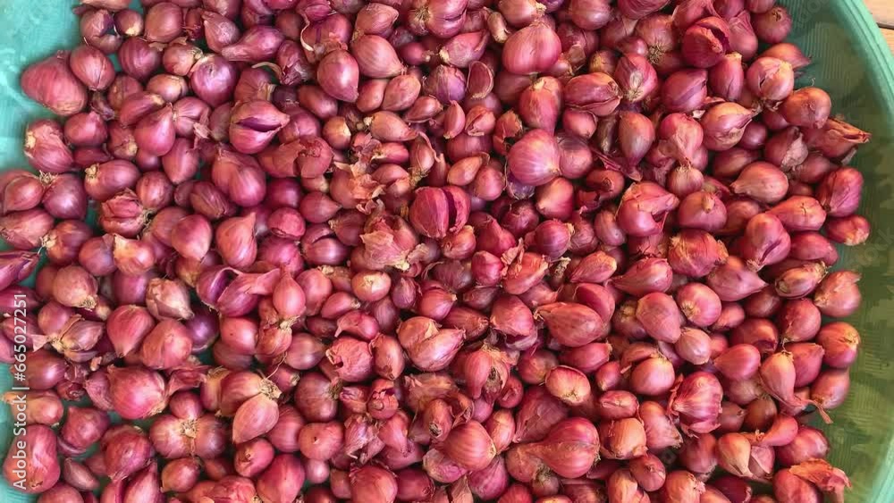 shallots onions on a tray shallots onions on a tray