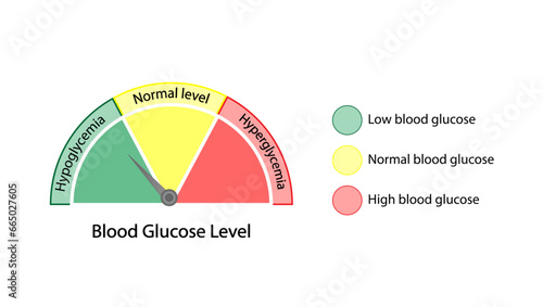 Blood Glucose Levels. Normal level, hypoglycemia (low blood sugar), hyperglycemia (high blood sugar), sugar test. vector diagram