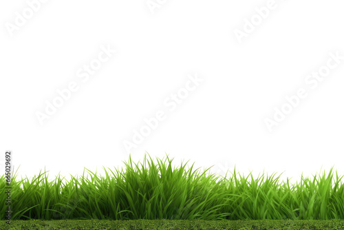 grass on banner isolated on white