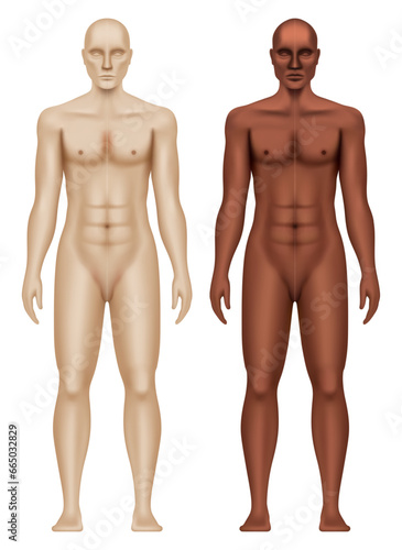 White and black man anatomical body realistic vector illustration isolated on a white background.