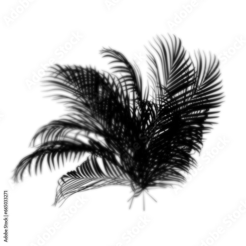 Gobos Plants Palm Effect