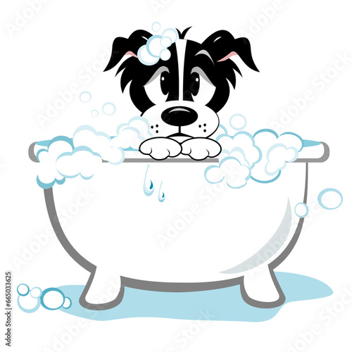 Sad dog in a bath tub
