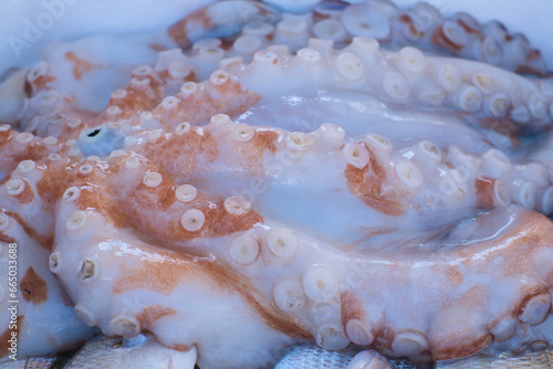 Fototapeta Naklejka Na Ścianę i Meble -  Selling fresh fish in southern Italy, reddish orange octopus, close up