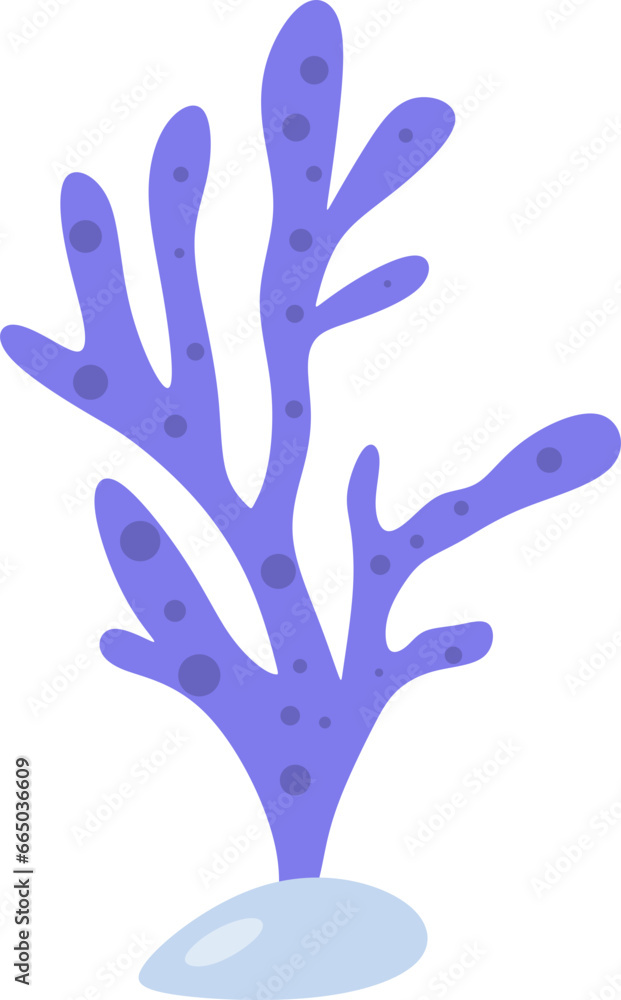 Fototapeta premium Seaweed Flat Coral