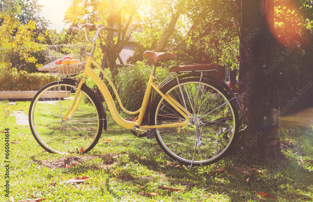 Yellow vintage bicycle with fruit basket in a beautiful shady garden. Bicycles for exercise, for health, for enjoyable picnic trips, parked against the side of a large tree.