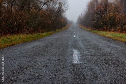 asphalt desert road in a foggy forest. Dull sad autumn road.