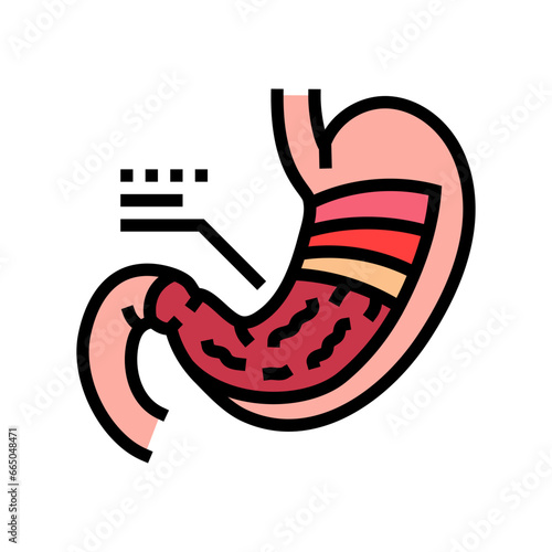stomach anatomy gastroenterologist color icon vector. stomach anatomy gastroenterologist sign. isolated symbol illustration