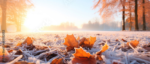 Beautiful colorful nature with bright orange leaves covered with frost in late autumn or early winter. © Santy Hong