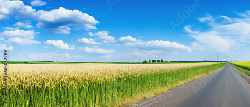 Beautiful idyllic landscape in countryside banner format with a wide field of cereals and a pasture divided by a deserted asphalt road against a blue summer sky.