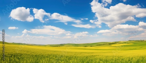 field and blue sky © DigitalMuseCreations