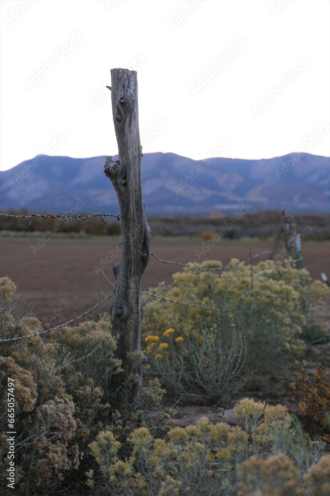 An Old Weathered Fence Post in Monticello, Utah An Old Weathered Fence Post in Monticello, Utah