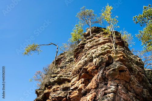 Jungfernsprung in Dahn photo