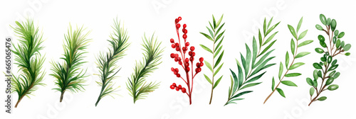 Watercolor Christmas Set with Evergreen Coniferous Tree Branches, Berries and Leaves. Holly, Fir, Pine, Mistletoe. Isolated on White Background.
