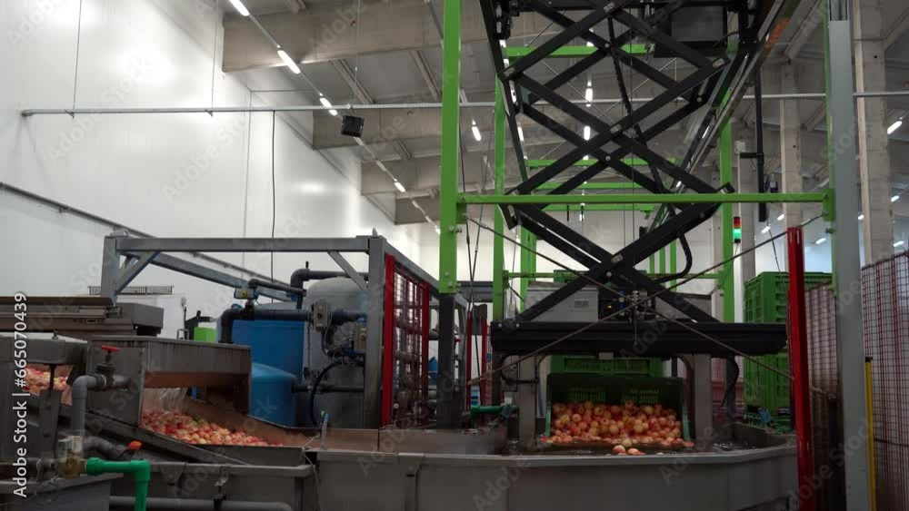 Pick And Place Robot Works on Apple Washing Line at Modern Fruit Processing Plant. Automated Apple Washing and Transportation in Water Tank in Food Industry. Fruit Processing Plant. Pick And Place Robot Works on Apple Washing Line at Modern Fruit Processing Plant. Automated Apple Washing and Transportation in Water Tank in Food Industry. Fruit Processing Plant.