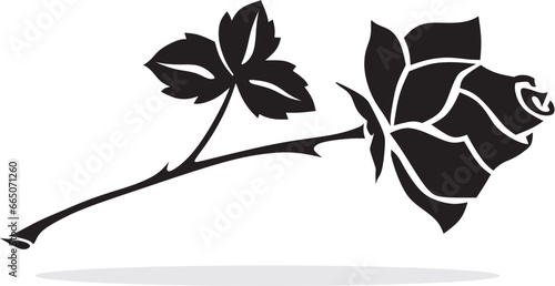 rose2201023a