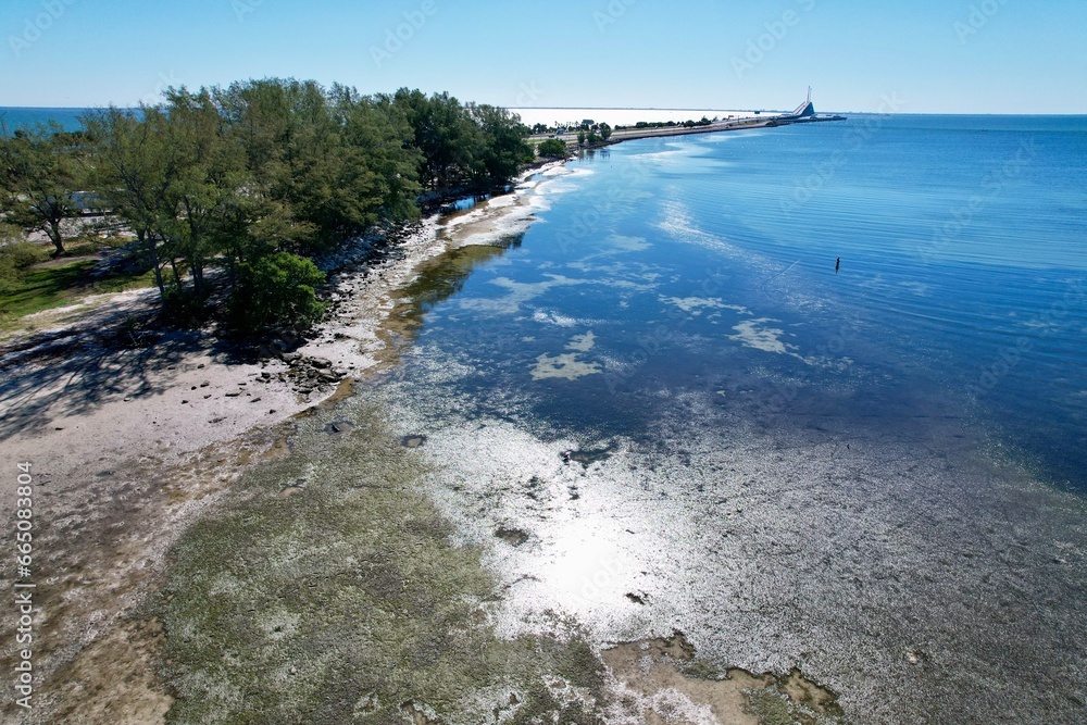 An aerial photo of coastline near Skyway Bridge, St. Petersburg, Florida, by drone pilot Anita Denunzio.