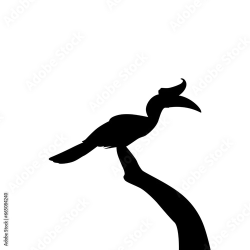 Fototapeta Naklejka Na Ścianę i Meble -  Great Horn Bird Silhouette Perched on the Branch Tree Silhouette. Vector Illustration
