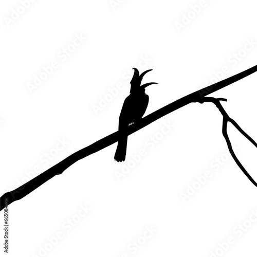 Great Horn Bird Silhouette Perched on the Branch Tree Silhouette. Vector Illustration
