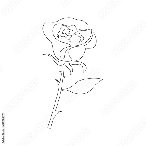 Rose one line. Vector drawing. 