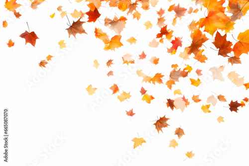 Hundreds of autumn leaves fall and fly on a white background. High-resolution