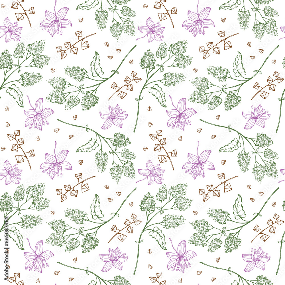 Buckwheat seamless pattern hand drawn vector illustration. Repeating background with flowers, seeds, branches and buckwheats granules. Healthy food, tasty porridge, grain harvest, agriculture