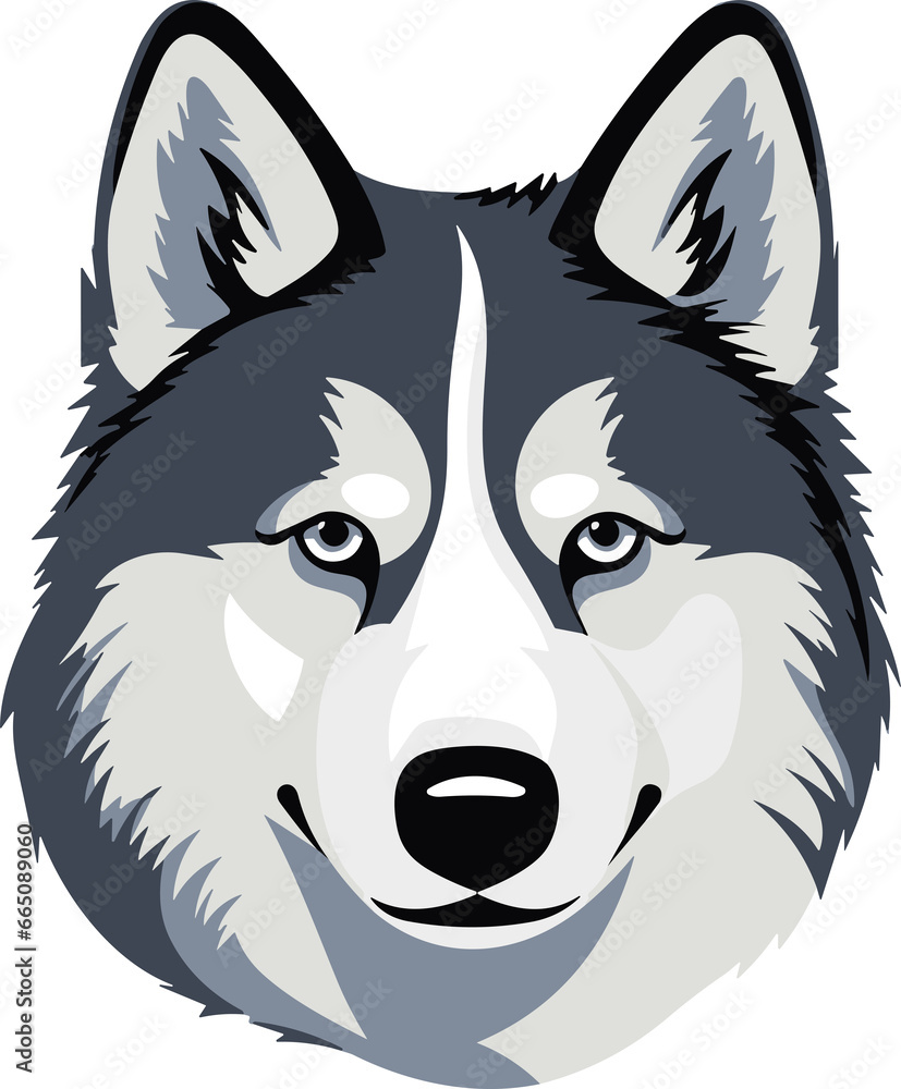 Naklejka premium Siberian Husky dog.Cartoon dog or puppy characters design.