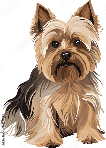 Yorkshire Terrier dog.Cartoon dog or puppy characters design.