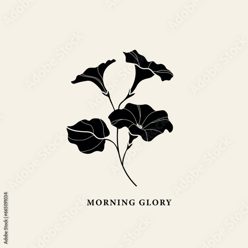 Flat vector morning glory flower illustration
