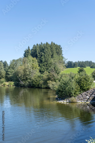 lush vegetation on green shore at Rottachsee Alpine lake, Oy-Mittelberg, Germany