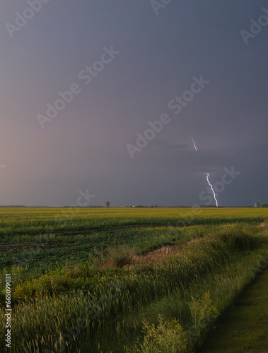 Lightning in the sky above a rural Manitoba field