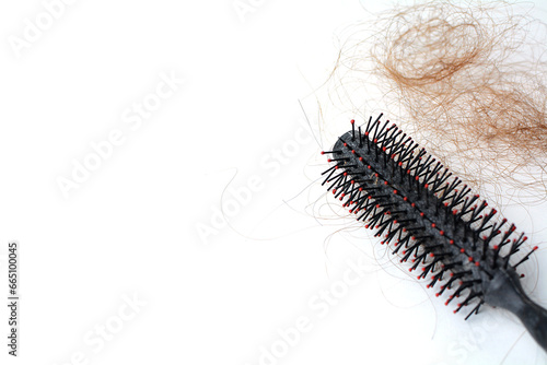 Hair loss in comb  hair fall everyday serious problem  on white background.