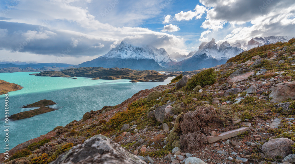 The shore of lake Lago del Pehoe in the Torres del Paine national park, Patagonia, Chile.