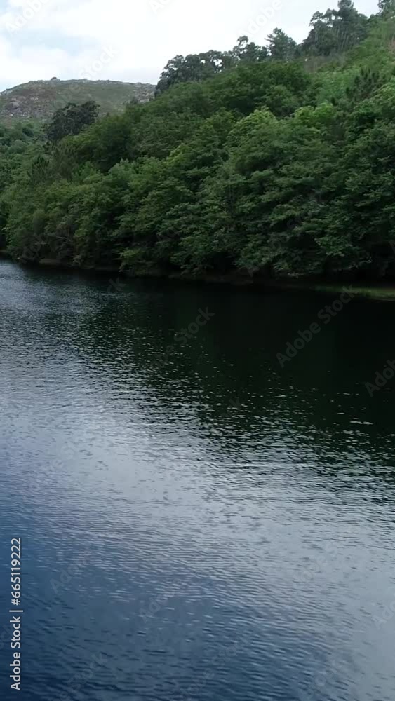 Vertical Video of Calm River And Forested Landscape Vertical Video of Calm River And Forested Landscape