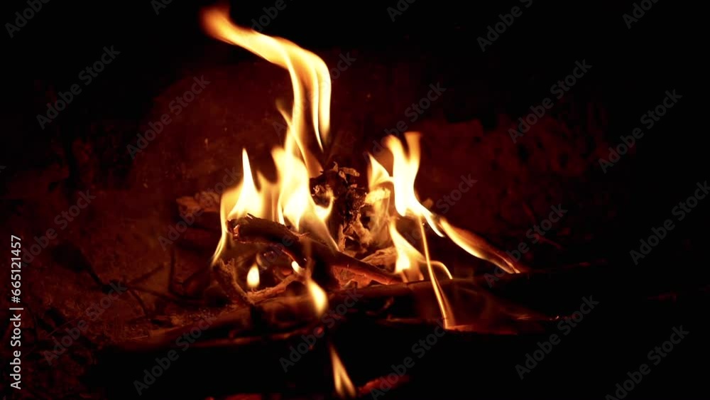 Bright Flame of a Night Fire in the Forest with Smoldering Coals, Smoke. Dry branches burn with a yellow flame in a fading fire. Camping in the forest. Travel, tourism. Night atmosphere. Holidays. Bright Flame of a Night Fire in the Forest with Smoldering Coals, Smoke. Dry branches burn with a yellow flame in a fading fire. Camping in the forest. Travel, tourism. Night atmosphere. Holidays.