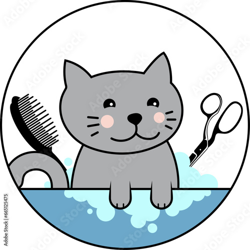 Cute cat is washed, groomers scissors and comb. Design for groomer salon