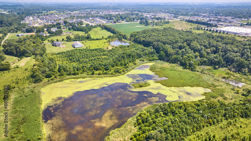 Swamp land with green algae bloom aerial with houses and neighborhoods further away