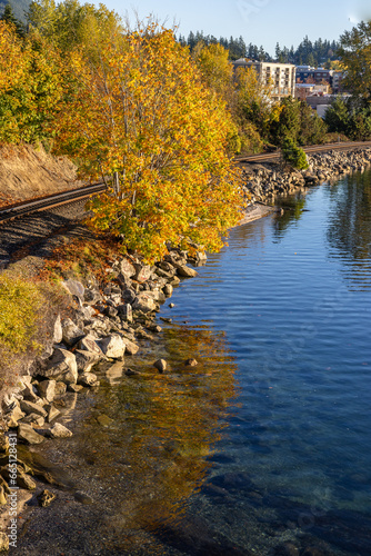 autumn in the park