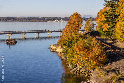 autumn in the park